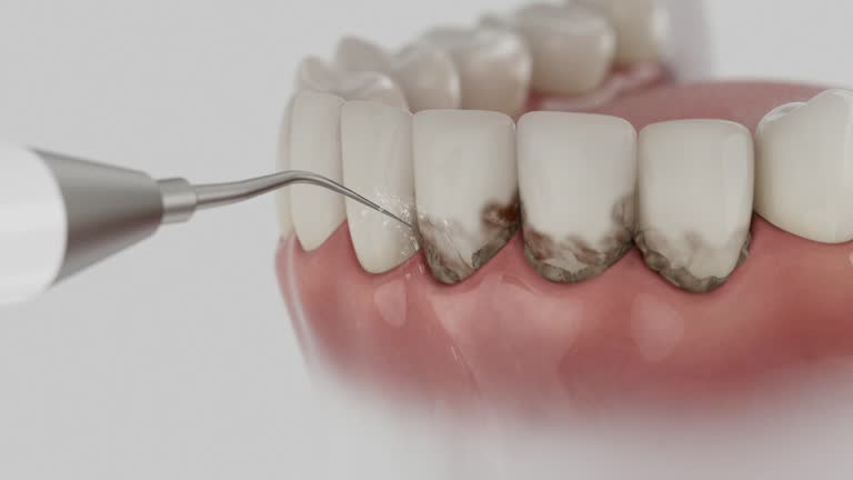 Reliable Dental contractor in Presquille, LA by Dentist Open Now